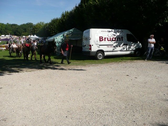 dimanche (17).jpg
